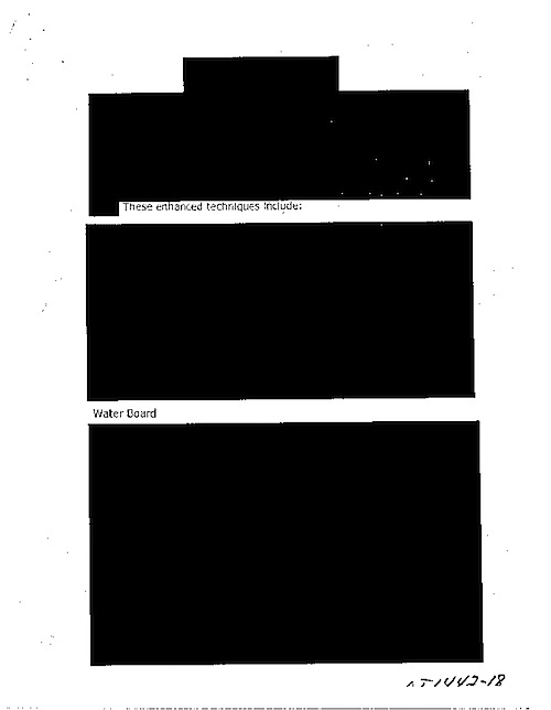 redacted cia document