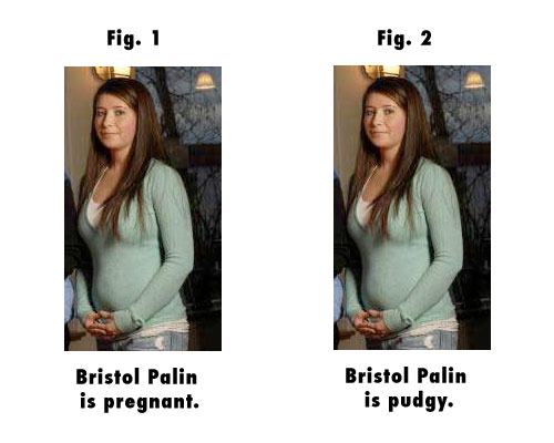 bristol palin is pregnant