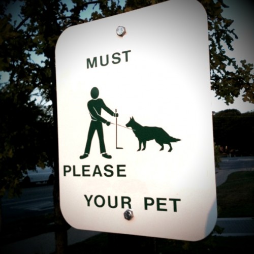 must please your pet
