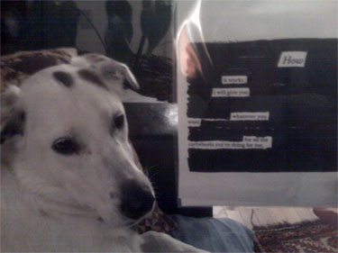 newspaper blackout poem + puppy