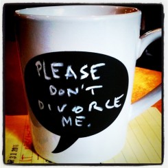 Please don't divorce me