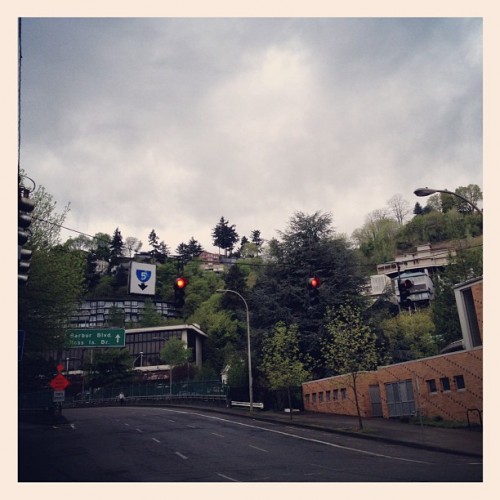Portland had the best gloomy weather